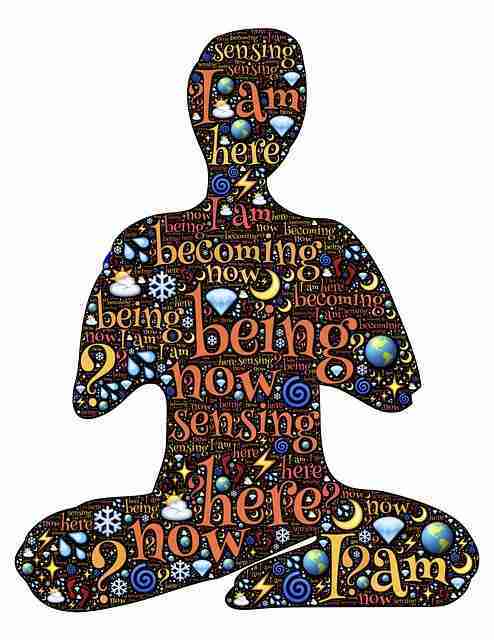 el proceso de la presencia meditación